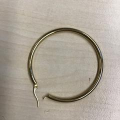 Earring, as reported by Gemeente Nijmegen using iLost