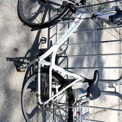 여성용 자전거 batavus, iLost를 사용하여 Stadswerk072에 보고됨