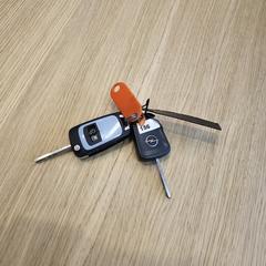Auto sleutels, iLost-i jakinarazi zaion moduan