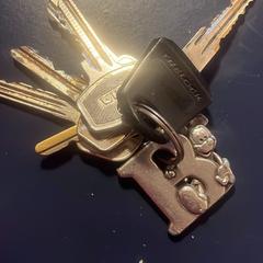 Sleutelbos, ha sido reportado a iLost