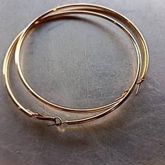 Boucles d'oreilles, a été signalé par Paaspop utilisant iLost