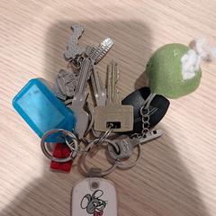 Keychain, as reported by Gemeente Westervoort using iLost