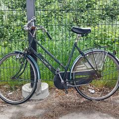 Emakumeen bizikleta Raleigh Ralph-sport groen, gisa salatu by Fietsdepot iLost erabiliz