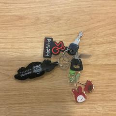 Sleutelbos sleutelbus, zoals gemeld door Gemeente Alkmaar met iLost