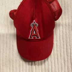 帽子 & 記名あり がiLostで IKEA長久手 によって報告されました