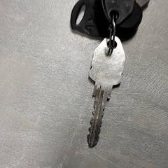 Nøkkel, som rapportert av Arriva Friesland / Groningen ved bruk av iLost