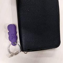 Peňaženka, ako bolo nahlásené Arriva Limburg Zuid pomocou iLost