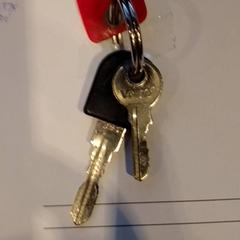 Chiave della bicicletta, come riportato da TivoliVredenburg utilizzando iLost