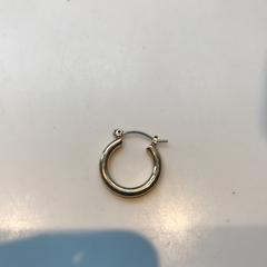 Earring small, as reported by Van Gogh Museum using iLost