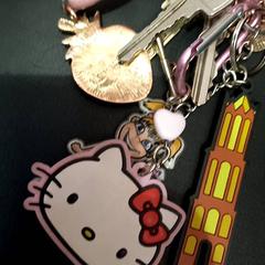 Nøkkelring, som rapportert av allGo Almere ved bruk av iLost