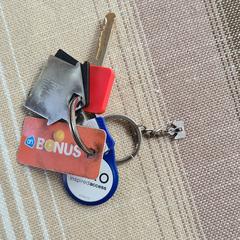 sleutelbos, ako bolo nahlásené iLost