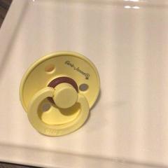 İLost kullanarak Van der Valk Hotel Zwolle tarafından bildirildiği gibi Emzik Geel