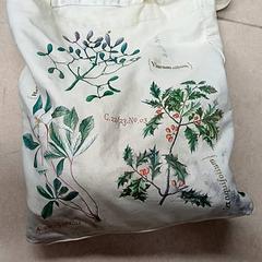 Bag, as reported by Qbuzz GD Groningen Peizerweg using iLost