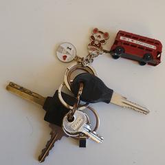 Sleutelbos, iLost'a bildirildiği gibi