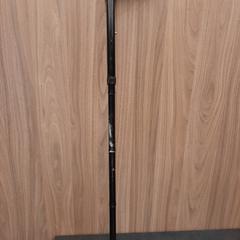 Wandelstok, zgłoszono przez Rotterdam The Hague Airport przy użyciu iLost