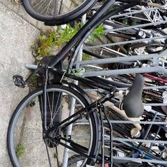 Zwarte opoefiets، كما تم الإبلاغ عنه بواسطة Stadswerk072 عبر iLost
