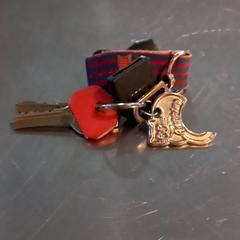 Clau, segons ha informat Arriva Limburg Noord mitjançant iLost