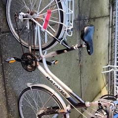 여성용 자전거 Batavus, iLost를 사용하여 Stadswerk072에 보고됨