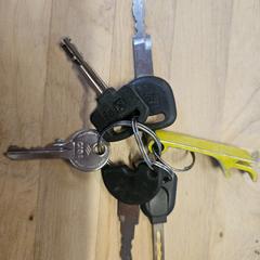 İLost kullanarak Gemeente Wageningen tarafından bildirildiği gibi Sleutels sleutelbos