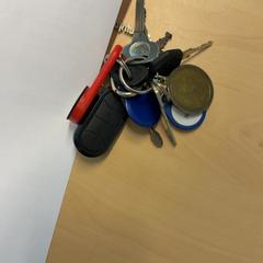 Sleutels, zoals gemeld door RET met iLost