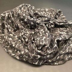 Xal Donkergrijs, segons ha informat Stad Hasselt mitjançant iLost