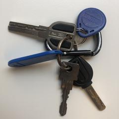 Sleutelbos, come riportato a iLost