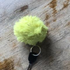Sleutel met hanger, come riportato a iLost