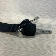 Clau, segons ha informat Gemeente Arnhem mitjançant iLost