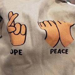 Sack Beige, gemeldet von Qbuzz Fryslân über iLost