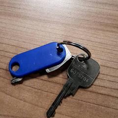 Schlüsselanhänger, gemeldet von Transdev Hoeksche Waard Goeree Overflakkee über iLost