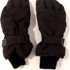 Handschoen handschoenen, amint azt Arriva Limburg Noord az iLost segítségével jelentette.