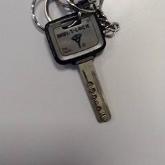 Nyckel, rapporterat av Vrije Universiteit Amsterdam med iLost