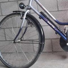 Fiets Norta Blauw met zilver, zoals gemeld door Gemeente Stekene met iLost