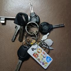 Sleutelbos, jak zgłoszono do iLost