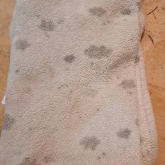 Dekentje, as reported by IKEA Wilrijk using iLost