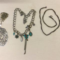 Pegar, segundo informou Haaglanden Medisch Centrum usando iLost