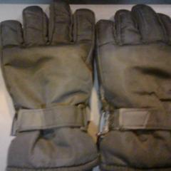 Guanti, come riportato da SnowWorld Landgraaf utilizzando iLost