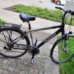 メンズバイク Giant がiLostで Gemeente Zonhoven によって報告されました