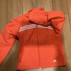 재킷 Rood - 030226 WAVE2, iLost를 사용하여 Ziggo Dome에 보고됨