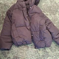 Bunda Zwart, jak nahlášeno Gemeente Nijkerk pomocí iLost