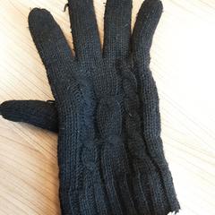 Handschoen, as reported by Arriva West-Brabant using iLost