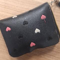 Portemonnee, como reportado por Connexxion Haarlem AML utilizando o iLost