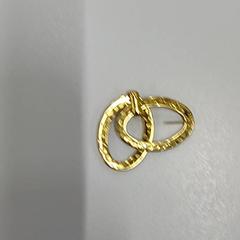 Ørering Goudkleurig, som rapportert av Heidelberglaan 15 ved bruk av iLost