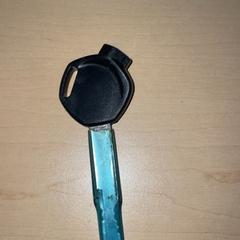 Clau, segons ha informat Jaarbeurs mitjançant iLost