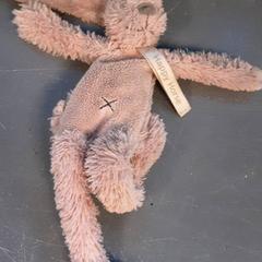 Knuffel, as reported by Diergaarde Blijdorp using iLost