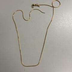 Halskette, gemeldet von Burgers' Zoo über iLost