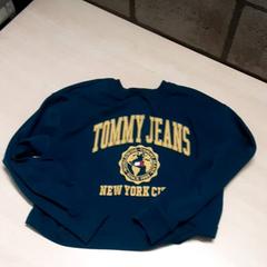 Pullover, gemeldet von Arriva Oost-Brabant über iLost