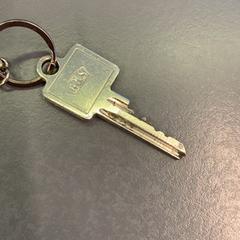 Klucz Zilver, zgłoszono przez Eindhoven Airport przy użyciu iLost