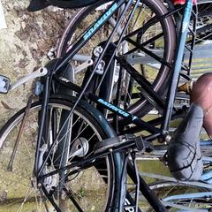 Bicicleta masculina Batavus, segons ha informat Stadswerk072 mitjançant iLost