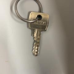 İLost kullanarak Fenix tarafından bildirildiği gibi Anahtar